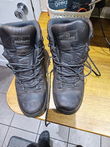 Scarpa terra gtx - gtx, mens